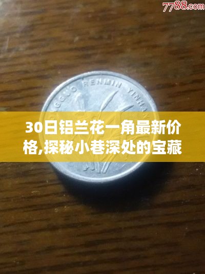 探秘小巷深处的宝藏，揭秘铝兰花一角最新价格神秘之旅