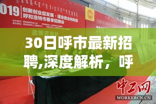 呼市最新招聘深度解析，30日招聘服务全面评测报告