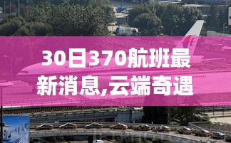 370航班云端奇遇，暖心时光的最新消息