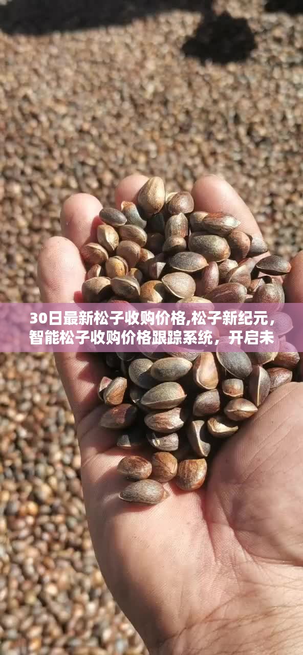 松子新纪元，智能收购价格跟踪系统启动，未来松子价格一目了然