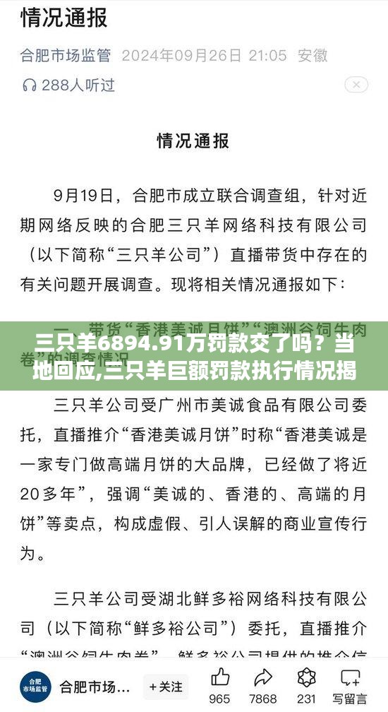 三只羊巨额罚款执行情况揭秘，当地回应与全面评估