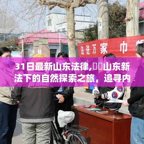 山东新法引领下的自然探索之旅，追寻内心的宁静与平和