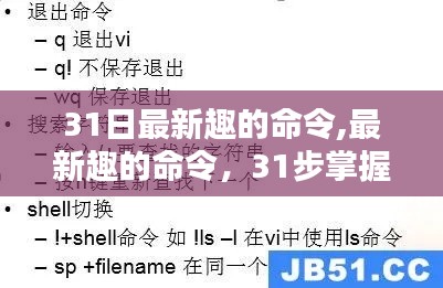 31步最新趣命令指南，轻松掌握技能，完成任务