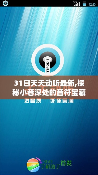 探秘小巷深处的音符宝藏，31日天天动听最新特色小店揭秘