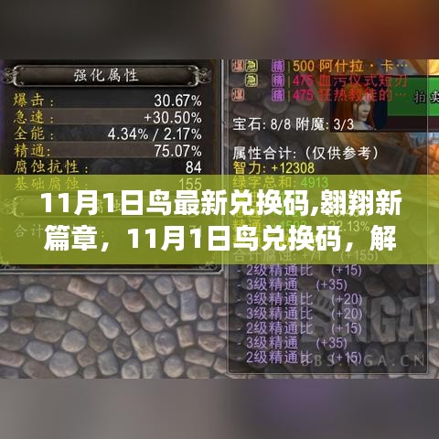 11月1日鸟兑换码开启学习新篇章，自信闪耀每一刻