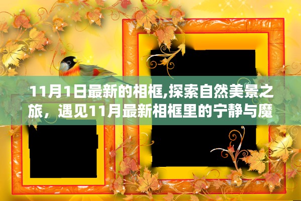 11月最新相框，自然美景之旅的宁静与魔力探索