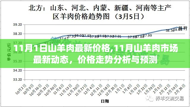 11月山羊肉市场最新动态及价格走势分析与预测