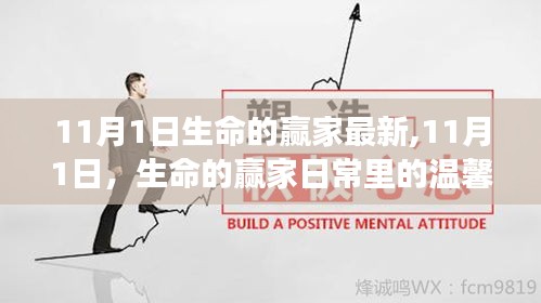 生命的赢家日常温馨趣事，11月1日的点滴记录