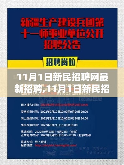 11月1日新民招聘网最新招聘信息及求职全攻略