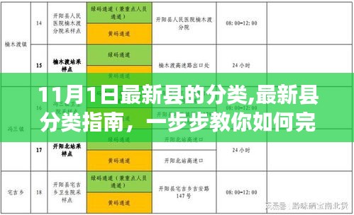 最新县分类指南，从初学者到进阶用户，一步步教你完成县的分类任务