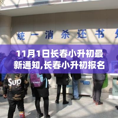 长春小升初报名指南，最新通知解读与操作步骤（11月1日更新）