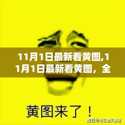 11月1日最新看黄图,11月1日最新看黄图，全面评测与介绍