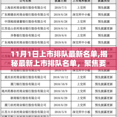 揭秘最新上市排队名单动态，聚焦要点，洞悉行业动态（最新更新至11月1日）