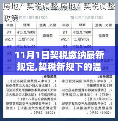 契税新规下的温馨缴纳日，我与朋友间的趣事之11月1日契税缴纳最新规定解读