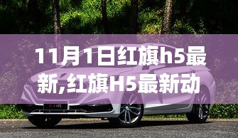 红旗H5最新动态，市场影响与个人观点分析（11月1日更新）