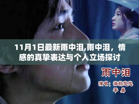 雨中泪，情感真挚表达与个人立场的深度探讨