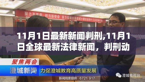 11月1日全球法律新闻综述，判刑动态深度解析