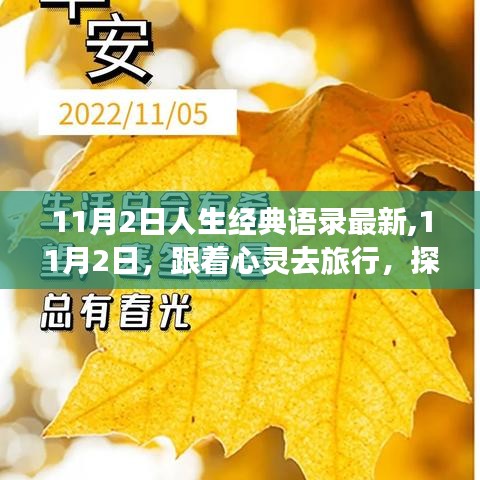 心灵之旅，探索自然美景的治愈之旅语录精选（11月2日）