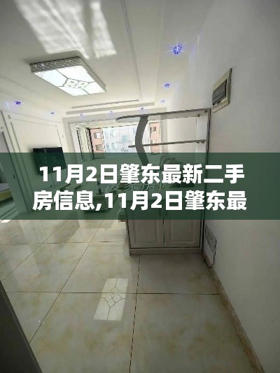 11月2日肇东精选二手房信息，开启理想生活新篇章