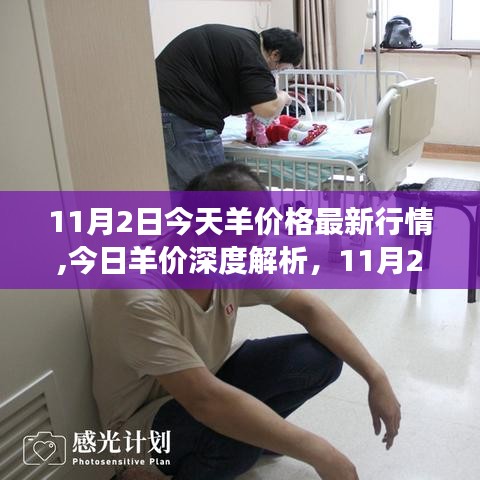 今日羊价深度解析，11月2日羊市场最新行情全面评述