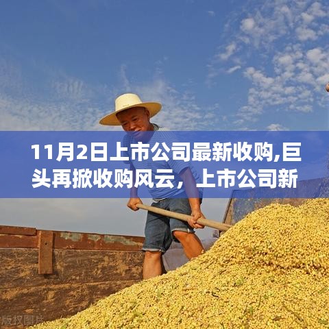 重磅！巨头掀起收购风云，上市公司市场深度解析——最新收购动态及市场重磅交易深度解析（11月2日）