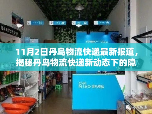 丹鸟物流快递新动态下的隐藏宝藏，揭秘一家别具一格的特色小店