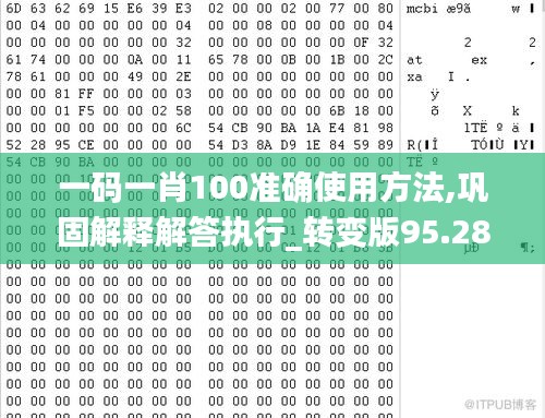 一码一肖100准确使用方法,巩固解释解答执行_转变版95.285