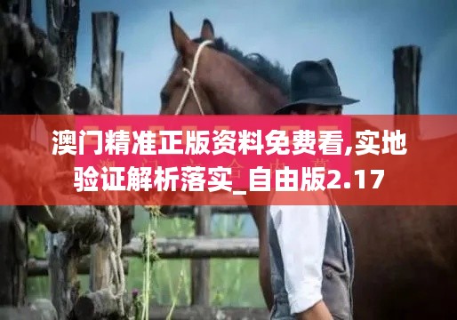 澳门精准正版资料免费看,实地验证解析落实_自由版2.17