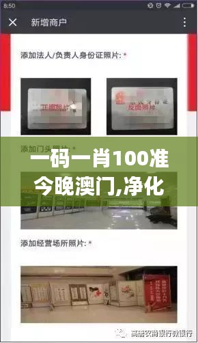 一码一肖100准今晚澳门,净化解答落实解释_创新集0.012