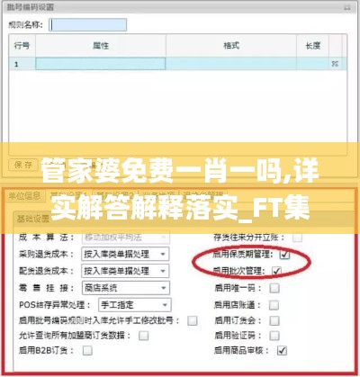 管家婆免费一肖一吗,详实解答解释落实_FT集52.196