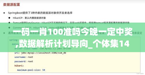 一码一肖100准吗今晚一定中奖,数据解析计划导向_个体集14.772