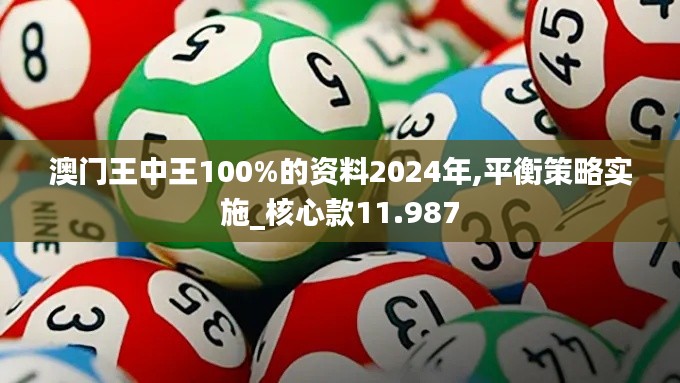 澳门王中王100%的资料2024年,平衡策略实施_核心款11.987