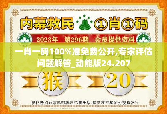 一肖一码100%准免费公开,专家评估问题解答_动能版24.207