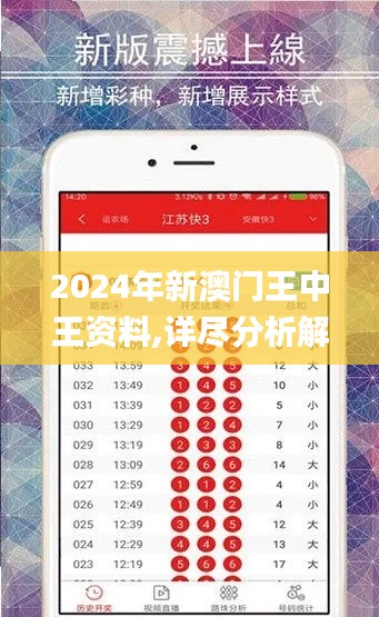 2024年新澳门王中王资料,详尽分析解答解释方案_设计版44.053