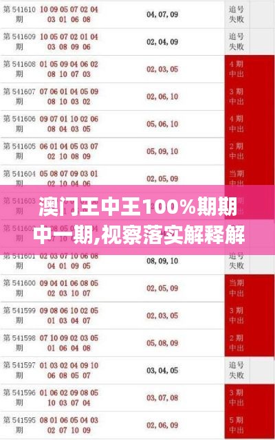 澳门王中王100%期期中一期,视察落实解释解答_场地集75.683