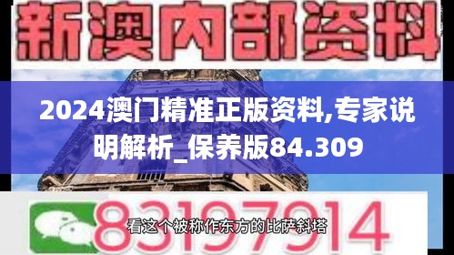 2024澳门精准正版资料,专家说明解析_保养版84.309