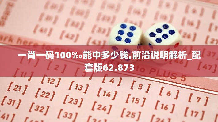 一肖一码100‰能中多少钱,前沿说明解析_配套版62.873