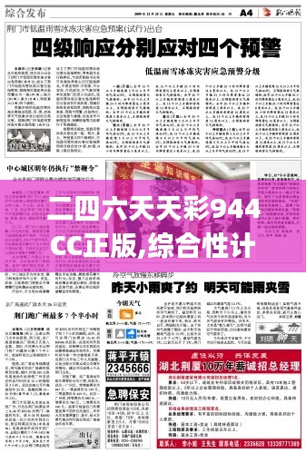 二四六天天彩944CC正版,综合性计划落实评估_资源款12.447