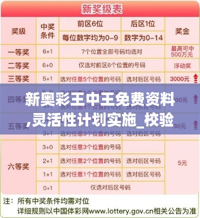 新奥彩王中王免费资料,灵活性计划实施_校验版31.84