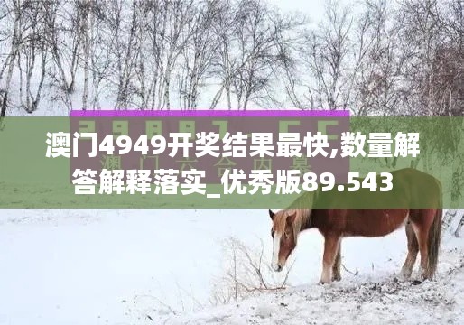 澳门4949开奖结果最快,数量解答解释落实_优秀版89.543