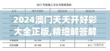 2024澳门天天开好彩大全正版,精细解答解释定义_L版45.48