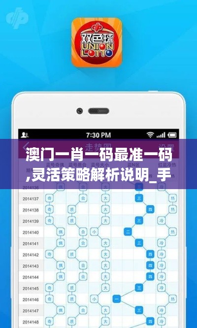 澳门一肖一码最准一码,灵活策略解析说明_手机版26.286