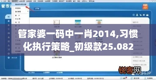 管家婆一码中一肖2014,习惯化执行策略_初级款25.082