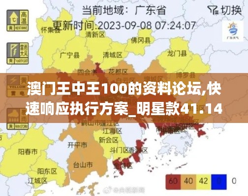 澳门王中王100的资料论坛,快速响应执行方案_明星款41.142