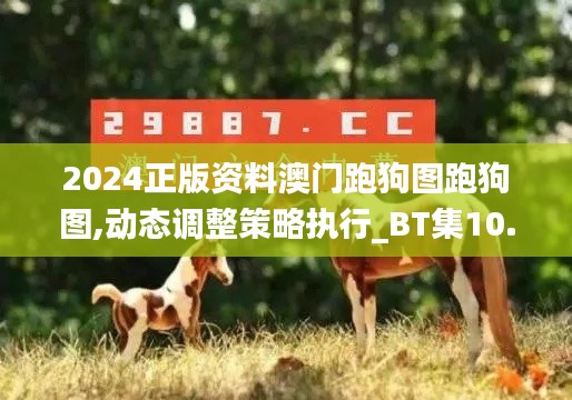 2024正版资料澳门跑狗图跑狗图,动态调整策略执行_BT集10.188