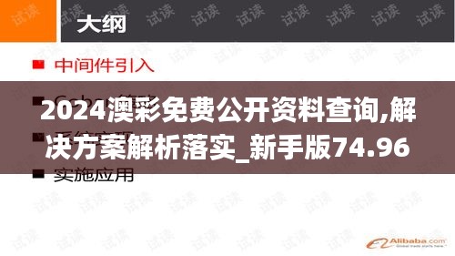 2024澳彩免费公开资料查询,解决方案解析落实_新手版74.962