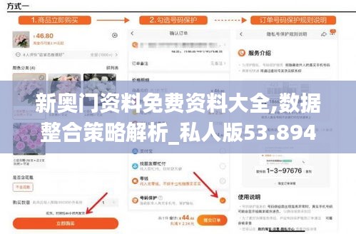 新奥门资料免费资料大全,数据整合策略解析_私人版53.894