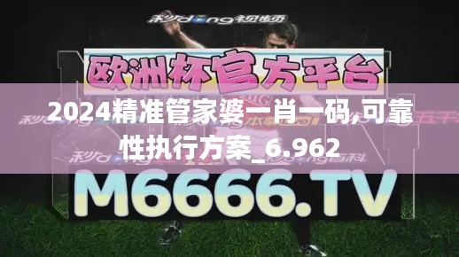 2024精准管家婆一肖一码,可靠性执行方案_6.962