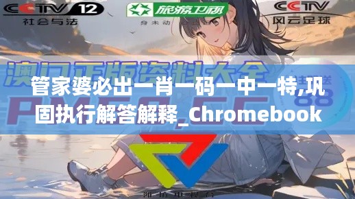 管家婆必出一肖一码一中一特,巩固执行解答解释_Chromebook77.743