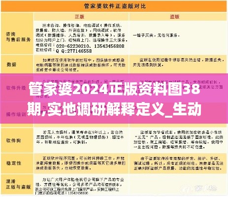 管家婆2024正版资料图38期,实地调研解释定义_生动版92.173